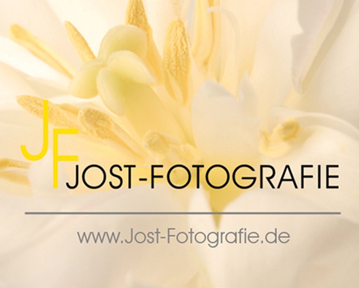Ingrid Jost-Freie