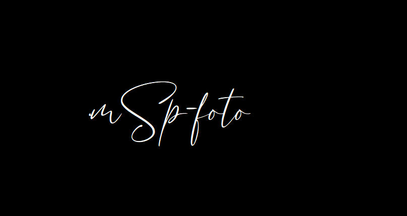 mSp-foto Martin Sprößig