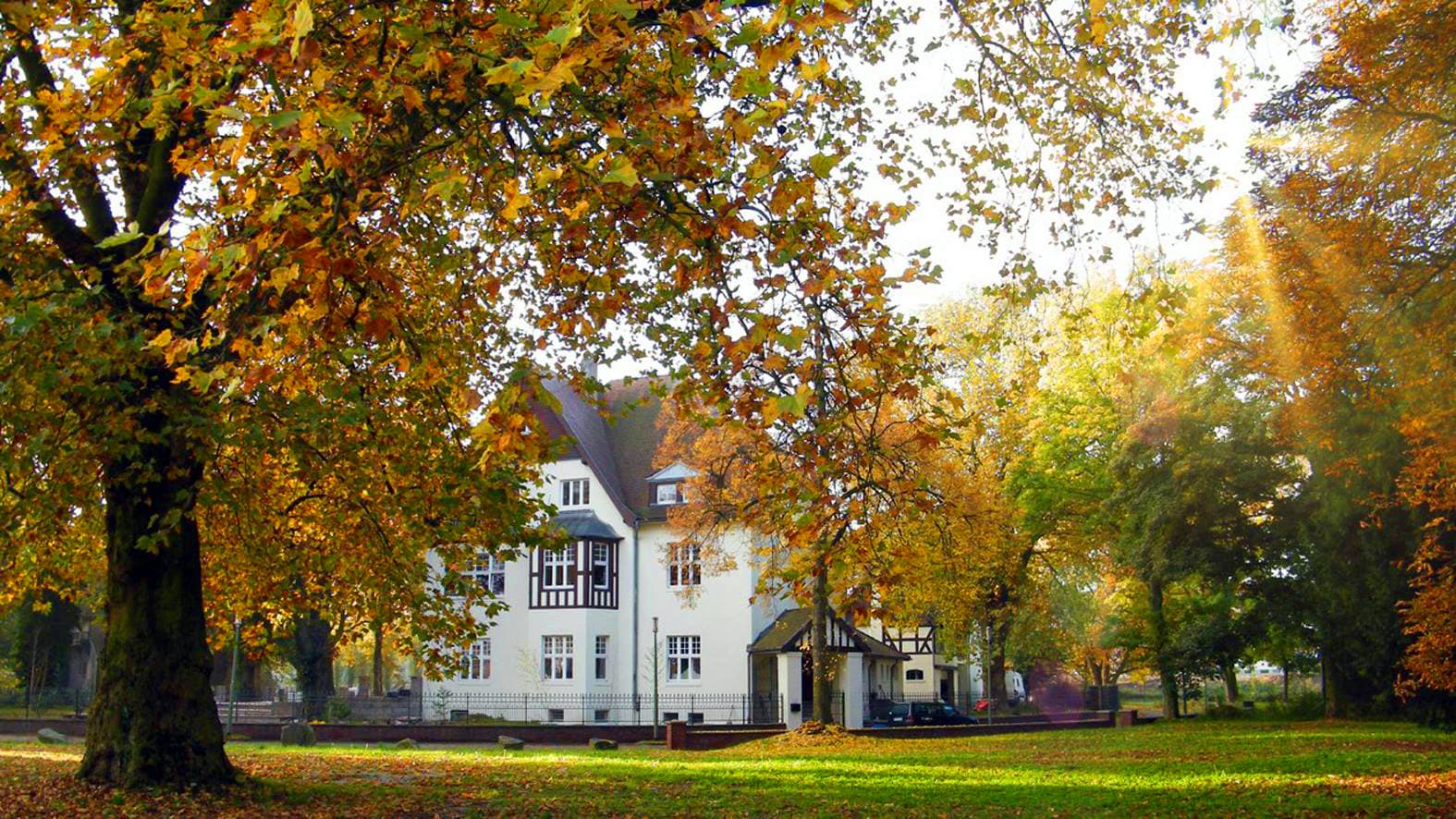 Hochzeit In Der Villa Rheinperle In Duisburg Hochzeiten Feiern